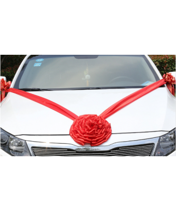 Svatební dekorace na auto
