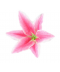Umělá dekorační květina - lilie