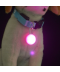 Barevný LED přívěsek na obojek pro psa