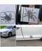 3D samolepka na auto pavouk tarantule pro  VW Polo BMW E46 Ford Focus Lada Granta Toyota Corolla Honda Civic Audi A3 Renault