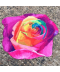 Oválný atypický ručník růže
