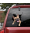 Samolepka na auto pes buldoček či jezevčík