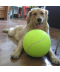 Tenisový míč pro psy