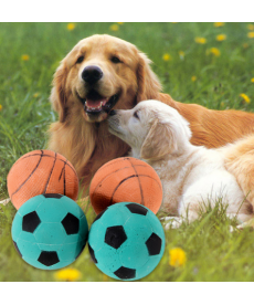 Míček pro psy - basketbalový nebo fotbalový