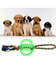 Bavlněný provaz pro psy se silikonovým kousátkem