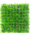 Zelená tráva do akvária
