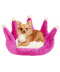 Pelech  pro psy královská koruna růžový či modrý